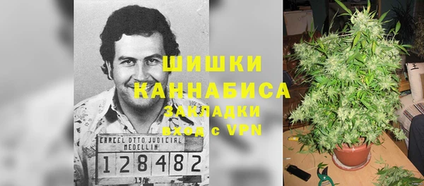 спайс Арсеньев