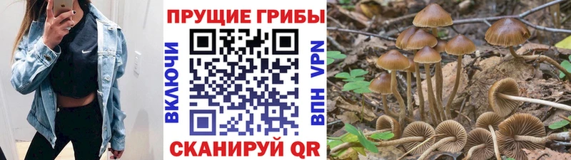 Псилоцибиновые грибы ЛСД  цены   shop Telegram  Сорск 